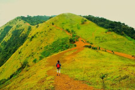 Kollur Mookambika and Kodachadri Tour Package by Tempo Traveller - Tempo Traveller Mangalore