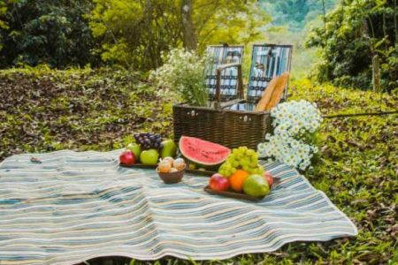 Best Picnic Spots Around Mangalore - Tempo Traveller Mangalore