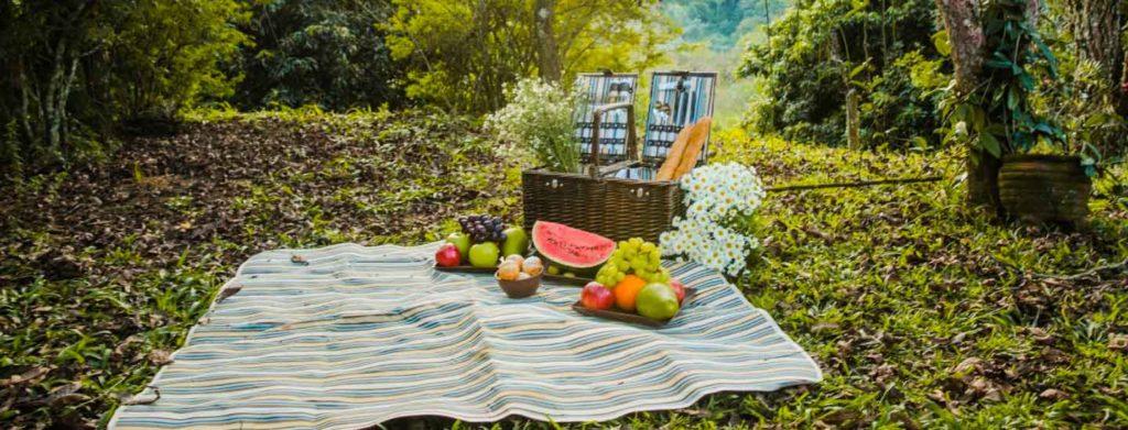 Best Picnic Spots Around Mangalore