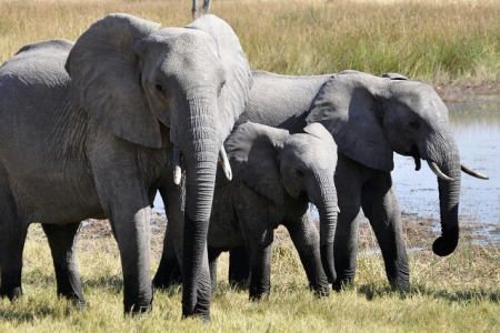 Malom Wildlife Sanctuary Weekend Trip - Tempo Traveller Mangalore